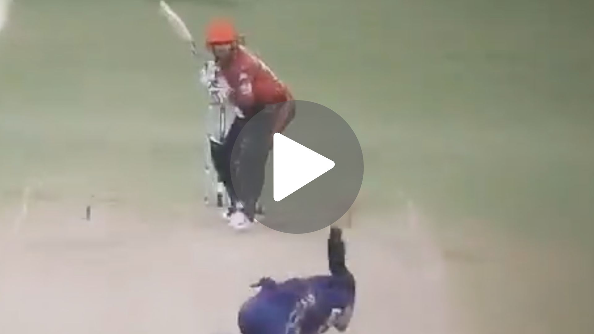 [Watch] Mayank Agarwal's Classy Drive Against Mitchell Starc Silences KKR Fans